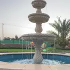 منتجع نسيم بالقاعد للايجار اليومي