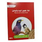 اكل المينو والبلابل