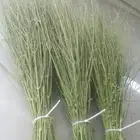 مرخ لي البيع