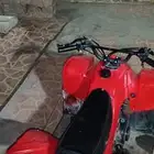 الدخل واحد