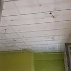 جبس مبورد وسمنت مبورد بديل الرخام بديل الحجر شيبرد باركيه