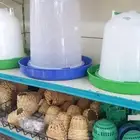 اطباق بيض وعلافات وسقايات وجميع مستلزمات الطيور