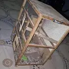 قفص كبيير