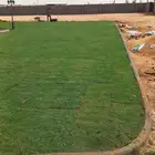 ثيل طبيعي سي 2000 فرنسي