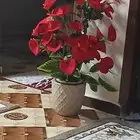 تنسيق حدائق
