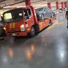 سطحه العليا