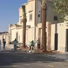 نقوم بتوريد جميع انواع النخيل ولشجار الرياض