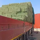 برسيم صافي و يوجد مخلوط و تبن و رودس