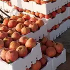 رمان متوفر كميات