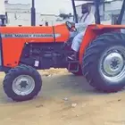 حراثه جفال ع الشرط قمه في النظافه.