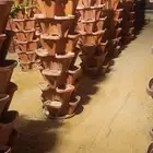 أحواض زراعية عامودية المزاحمية