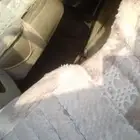 جمس يوكن 2007