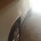 دينالي 2008
