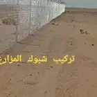 شبوك المملكه انجاز فوري