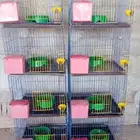 محاكر حمام (سلاكات حمام)جديده مصنوعه من الحديد مدهونه بالفرن