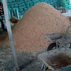 نشاره للدواجن والخيوال نظيفه جدا للبيع كميات