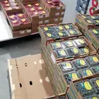 توريد خضار وفواكه