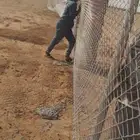 ابومجلي لجميع اعمال النخيل والشبوك