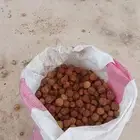 700 كيس ليمون اصفر يمني مجفف ممتاز حبه كبير ليست كمافي الصور