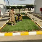توريد و تركيب عشب طبيعي نجيلة