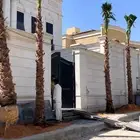 نخل واشنطني وعربي للبيع جميع المقاسات متوفرة