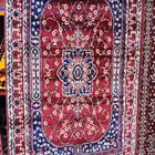 سجاد زل زوالي