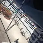 خيمة الصقور وجميع بيوت الشعر والخيام والاثاث