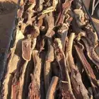 بقلاوة سمر المدينه