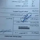 فرس انقليزيه
