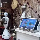 روبوتات ذكية بشرية للإيجار اليومي