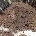 يتوفر لدينا توصيل سماد بقر و غنم و دجاج للمزارع