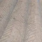 تركيب شؤك طاردالطيؤر حمام شبك مكيفات خارجي شبك شباك بغلاؤا
