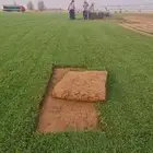 تيلc2000