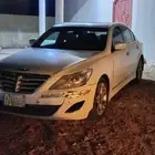 جنسس 13 مخبط