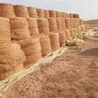 الفات رودس وزنة 200لي250 كليو