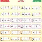 معلمات ومعلمين جميع المواد