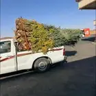 يوجد لدين جميع النوع النخل وجميع المقاست اتوصيل جميع المناطق