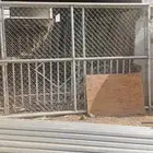 بوابات شبوك للبيع