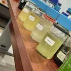 ورد طايفي وعالمي