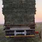 رودس تم البيع