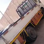 دينا ايسوزو . دينه . سطحه