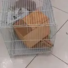 أغراض للبيع بسعر مغري