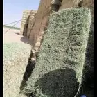 مخلوط برسيم جديد شد طيب 95 متر