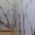 دهان بويا