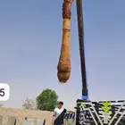 السلام عليكم ورحمة الله وبركاته يوجدلدينانخل عربي ووشنطني جم
