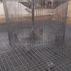 خزأن  دأيري  مزراع طاويل خزأن ارض استراخات مسبخ