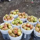 رمان لببيع الموقع الوهابه