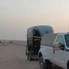 عربه خيل