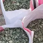 أوراق سدر