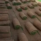 عشب طبيعي صافي